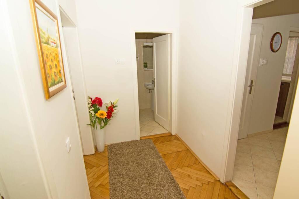 See U In Belgrade Belgrado Exterior foto
